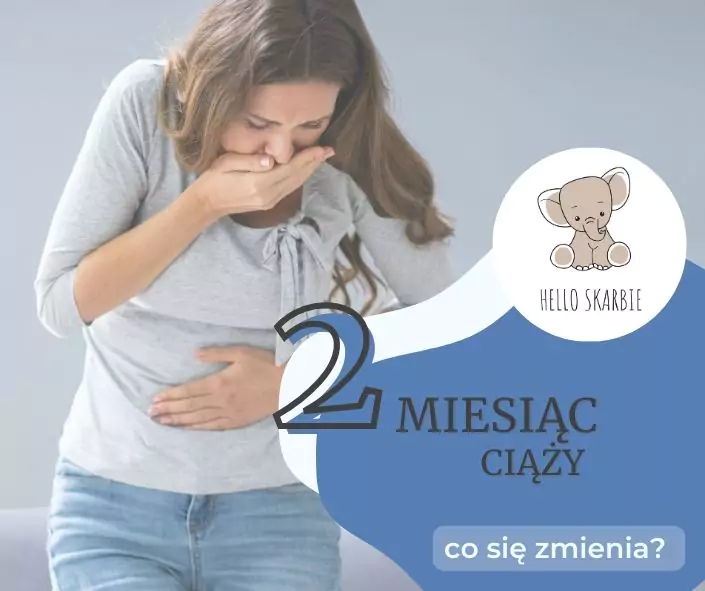 2 miesiąc ciąży co się zmienia