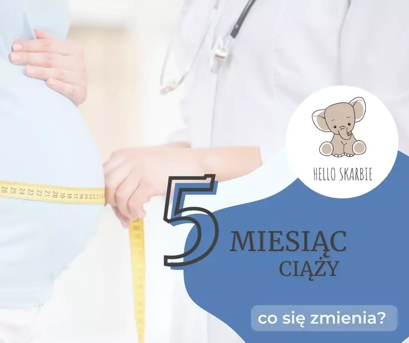 5 miesiąc ciąży co się zmienia
