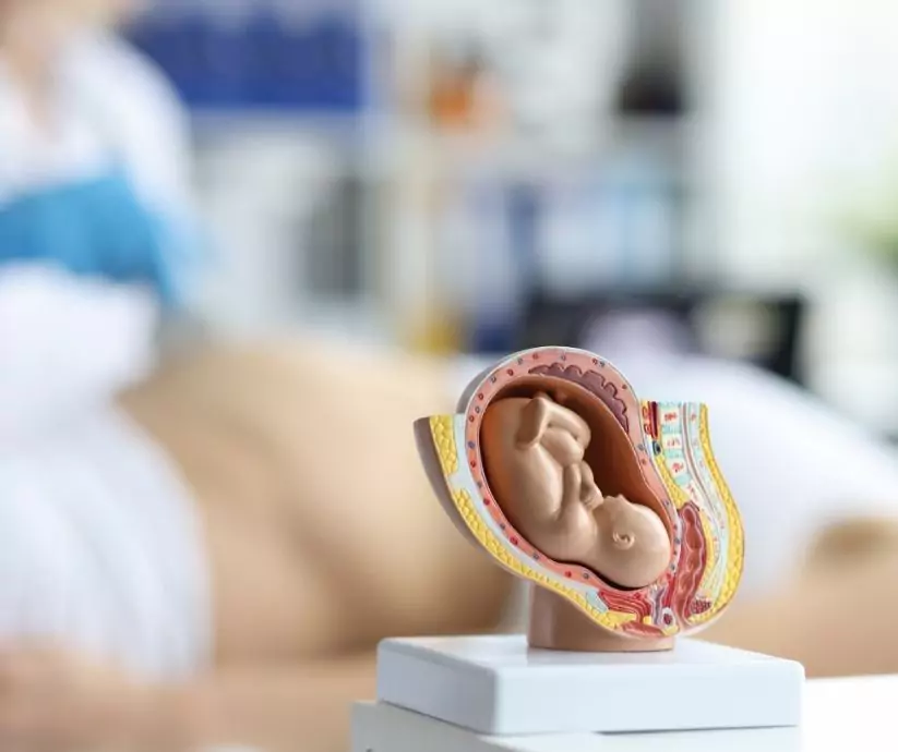 6 miesiąc ciąży co się zmienia usg połówkowe w 6 miesiącu ciąży